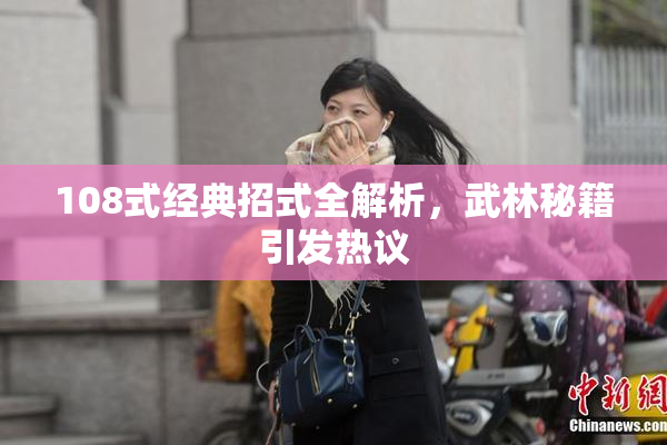 108式经典招式全解析，武林秘籍引发热议