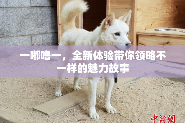 一嘟噜一，全新体验带你领略不一样的魅力故事