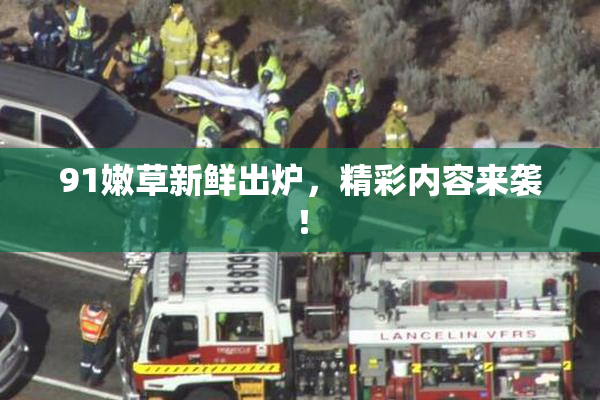 91嫩草新鲜出炉，精彩内容来袭！
