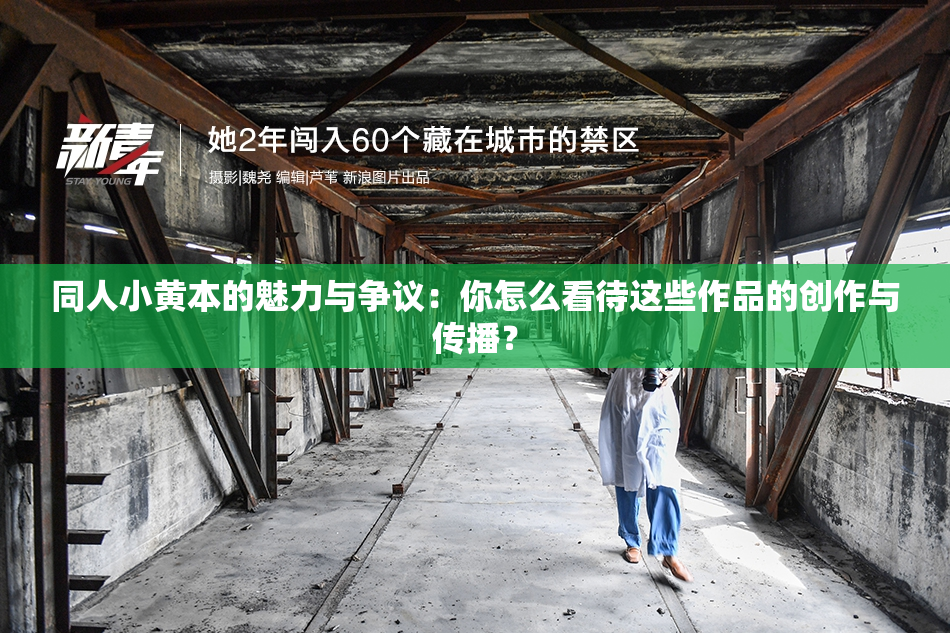 同人小黄本的魅力与争议：你怎么看待这些作品的创作与传播？