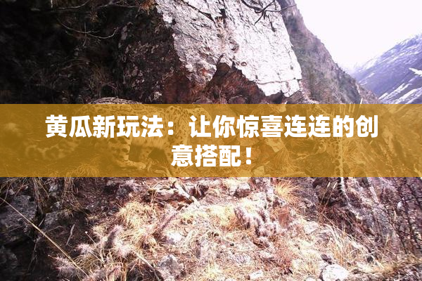 黄瓜新玩法：让你惊喜连连的创意搭配！