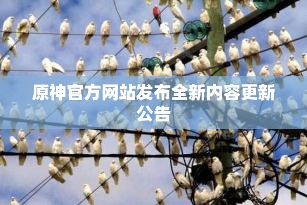 原神官方网站发布全新内容更新公告