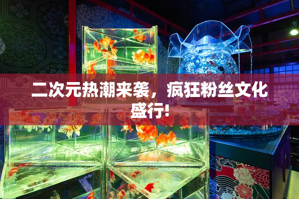 二次元热潮来袭，疯狂粉丝文化盛行!