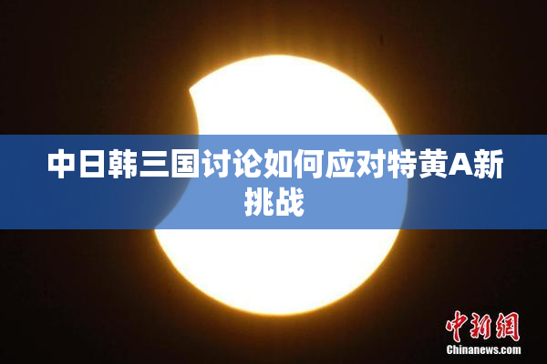 中日韩三国讨论如何应对特黄A新挑战