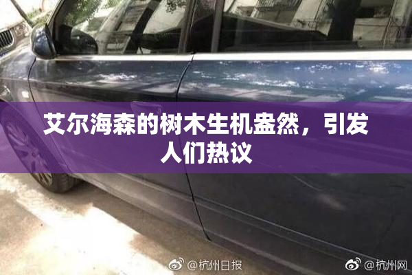 艾尔海森的树木生机盎然，引发人们热议