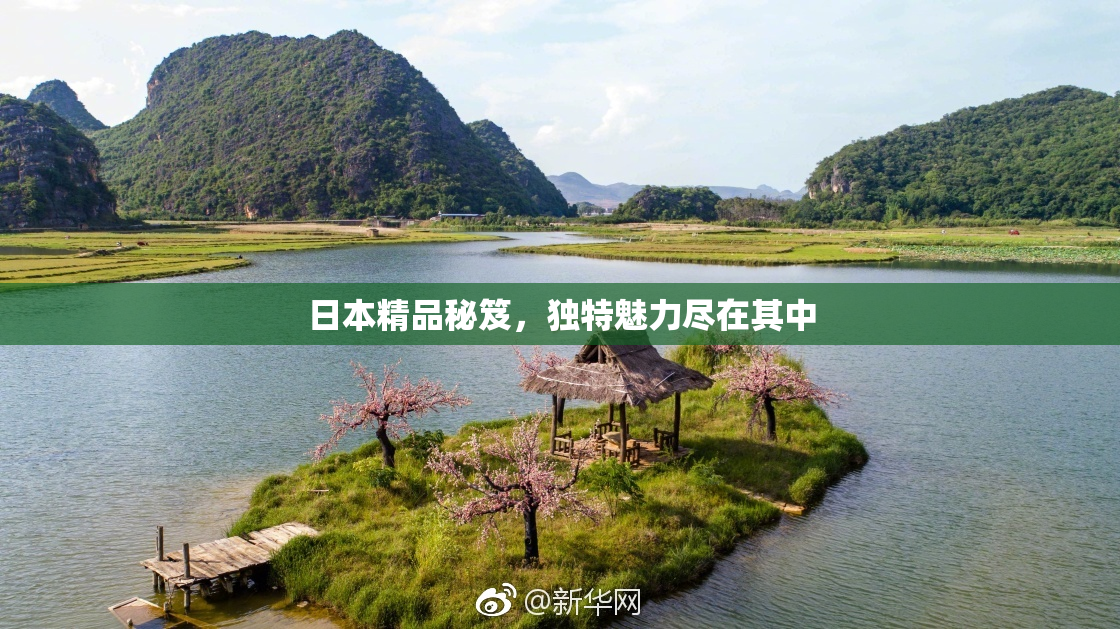 日本精品秘笈，独特魅力尽在其中
