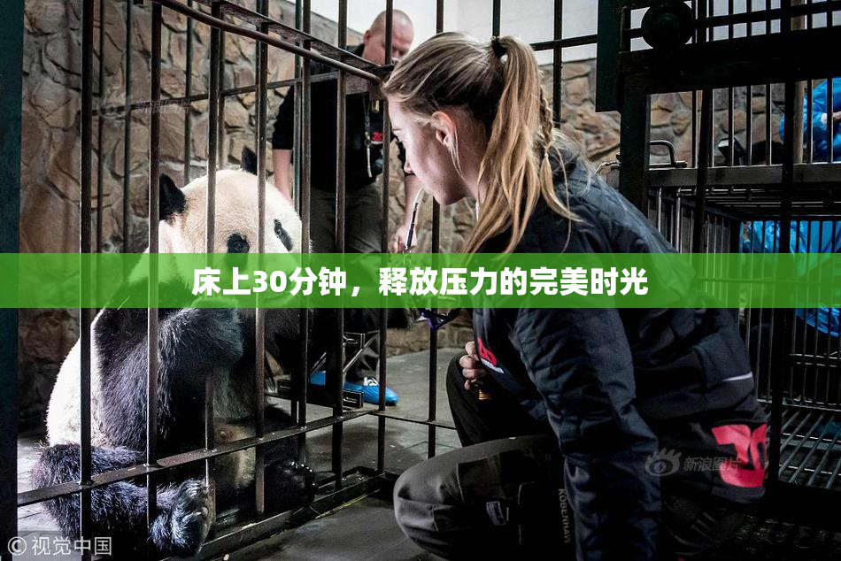 床上30分钟，释放压力的完美时光