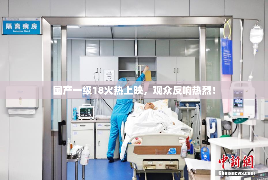 国产一级18火热上映，观众反响热烈！