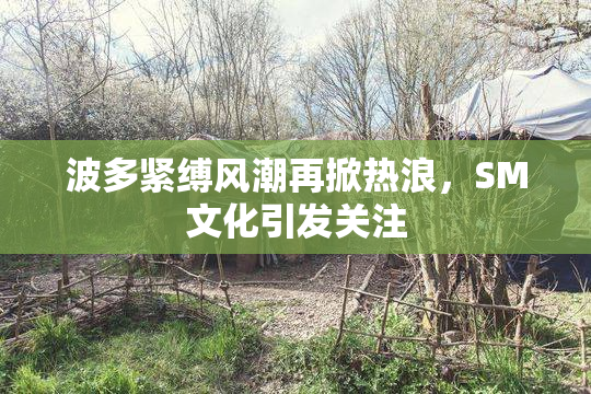 波多紧缚风潮再掀热浪，SM文化引发关注