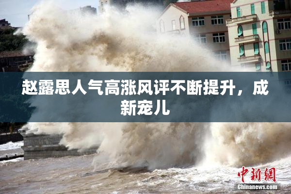 赵露思人气高涨风评不断提升，成新宠儿