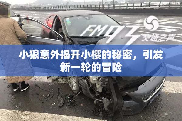 小狼意外揭开小樱的秘密，引发新一轮的冒险