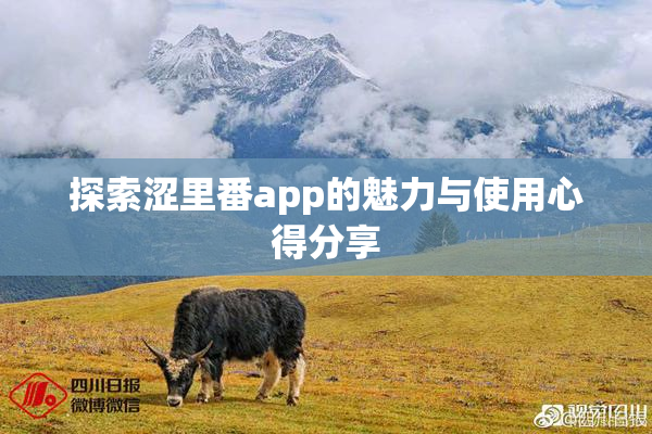 探索涩里番app的魅力与使用心得分享