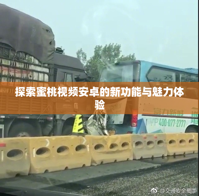 探索蜜桃视频安卓的新功能与魅力体验
