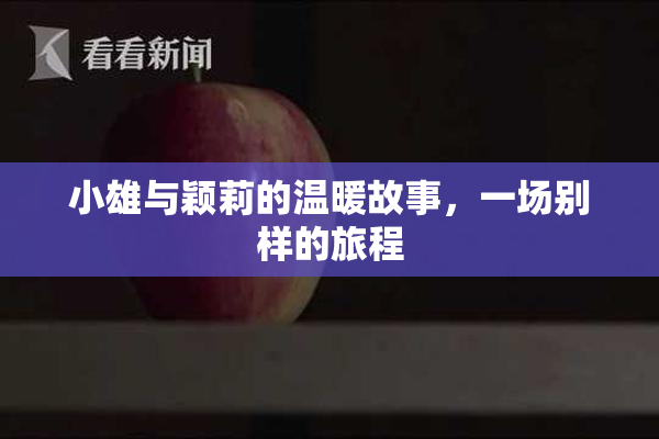 小雄与颖莉的温暖故事，一场别样的旅程