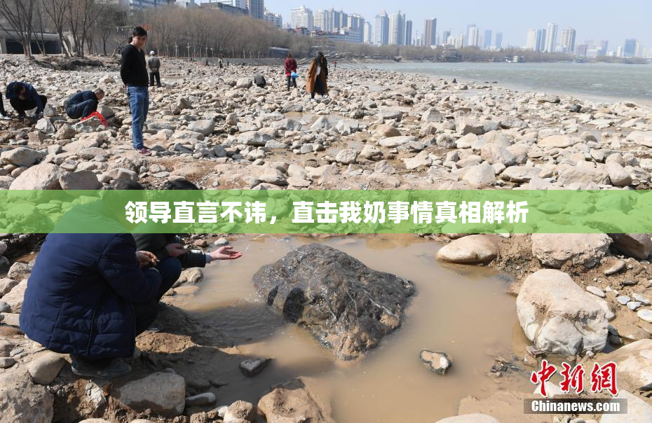 领导直言不讳，直击我奶事情真相解析
