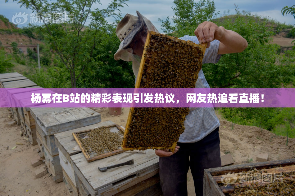 杨幂在B站的精彩表现引发热议，网友热追看直播！