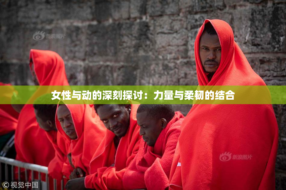 女性与动的深刻探讨：力量与柔韧的结合