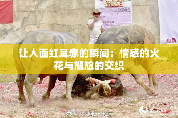 让人面红耳赤的瞬间：情感的火花与尴尬的交织