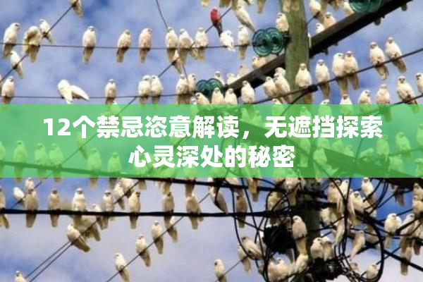 12个禁忌恣意解读，无遮挡探索心灵深处的秘密