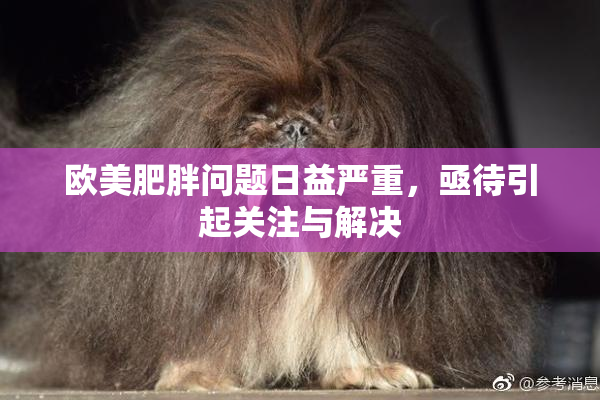 欧美肥胖问题日益严重，亟待引起关注与解决