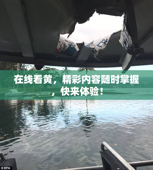 在线看黄，精彩内容随时掌握，快来体验！