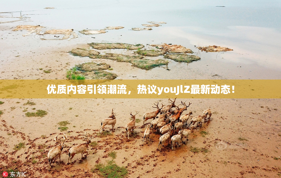 优质内容引领潮流，热议youJlZ最新动态！