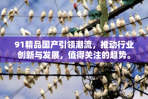 91精品国产引领潮流，推动行业创新与发展，值得关注的趋势。