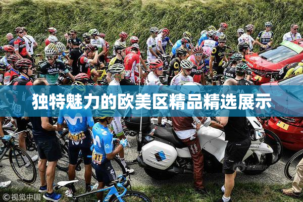 独特魅力的欧美区精品精选展示