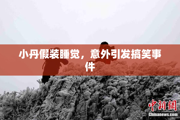小丹假装睡觉，意外引发搞笑事件