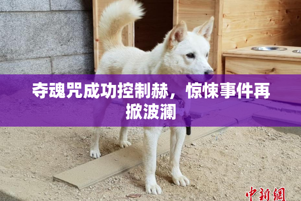 夺魂咒成功控制赫，惊悚事件再掀波澜
