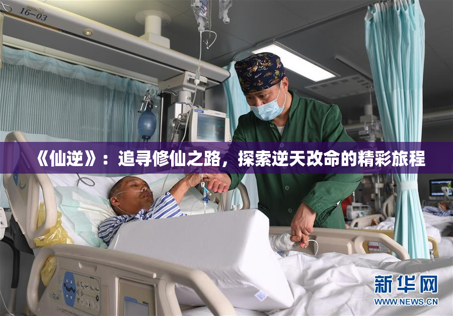 《仙逆》：追寻修仙之路，探索逆天改命的精彩旅程