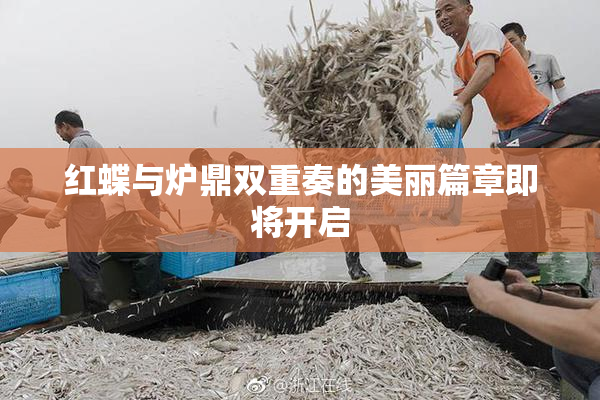 红蝶与炉鼎双重奏的美丽篇章即将开启