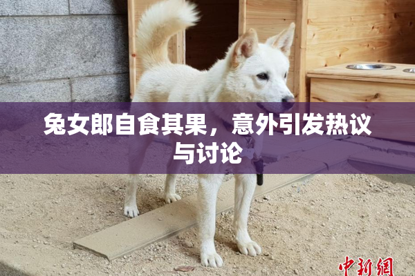 兔女郎自食其果，意外引发热议与讨论