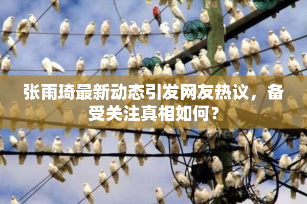 张雨琦最新动态引发网友热议，备受关注真相如何？
