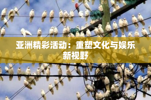 亚洲精彩活动：重塑文化与娱乐新视野