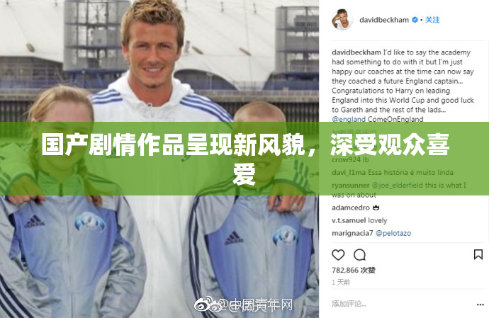 国产剧情作品呈现新风貌，深受观众喜爱