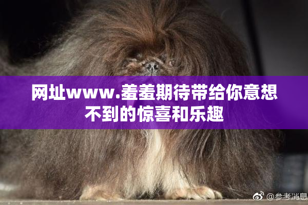 网址www.羞羞期待带给你意想不到的惊喜和乐趣