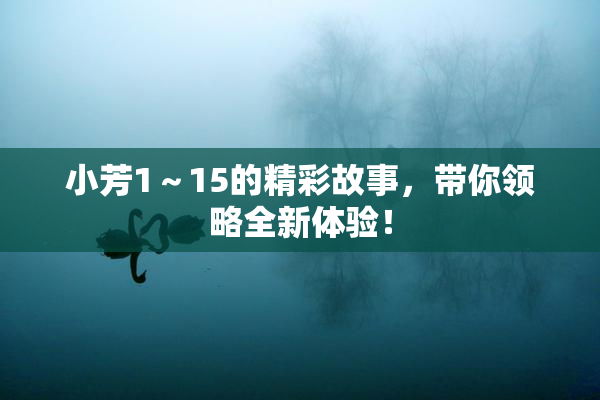 小芳1～15的精彩故事，带你领略全新体验！