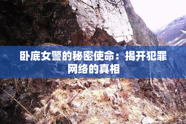 卧底女警的秘密使命：揭开犯罪网络的真相