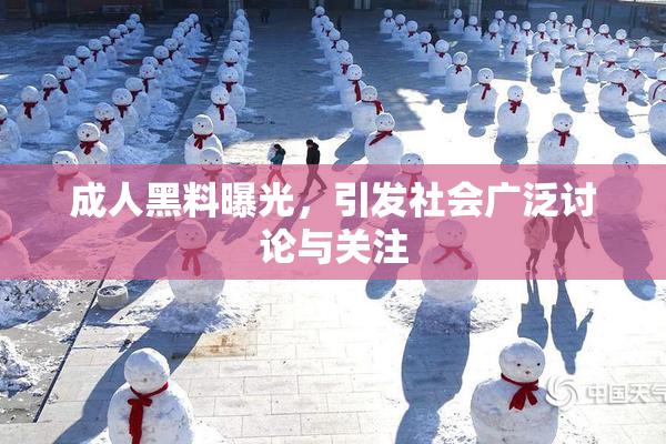 成人黑料曝光，引发社会广泛讨论与关注