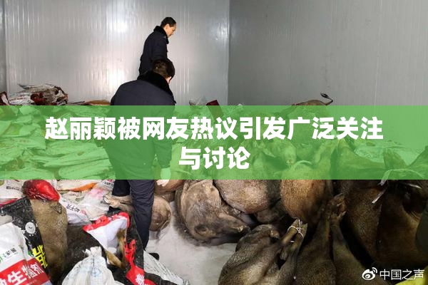 赵丽颖被网友热议引发广泛关注与讨论