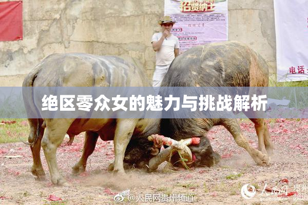 绝区零众女的魅力与挑战解析