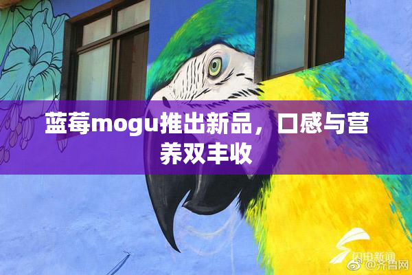 蓝莓mogu推出新品，口感与营养双丰收