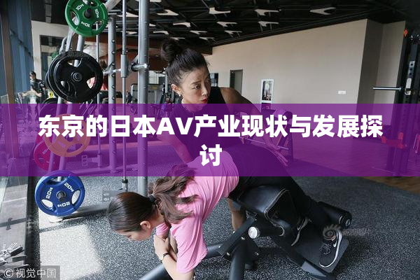 东京的日本AV产业现状与发展探讨
