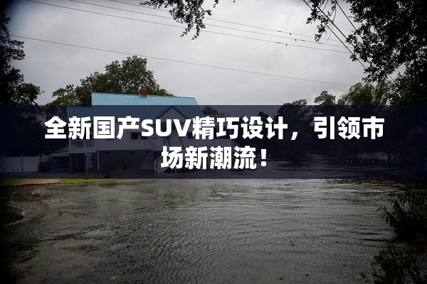 全新国产SUV精巧设计，引领市场新潮流！