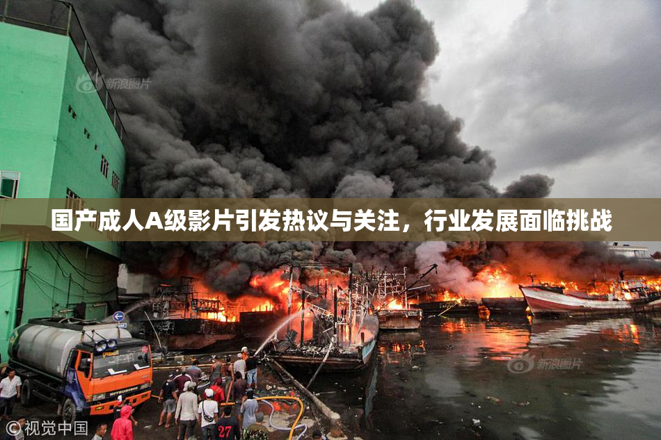 国产成人A级影片引发热议与关注，行业发展面临挑战