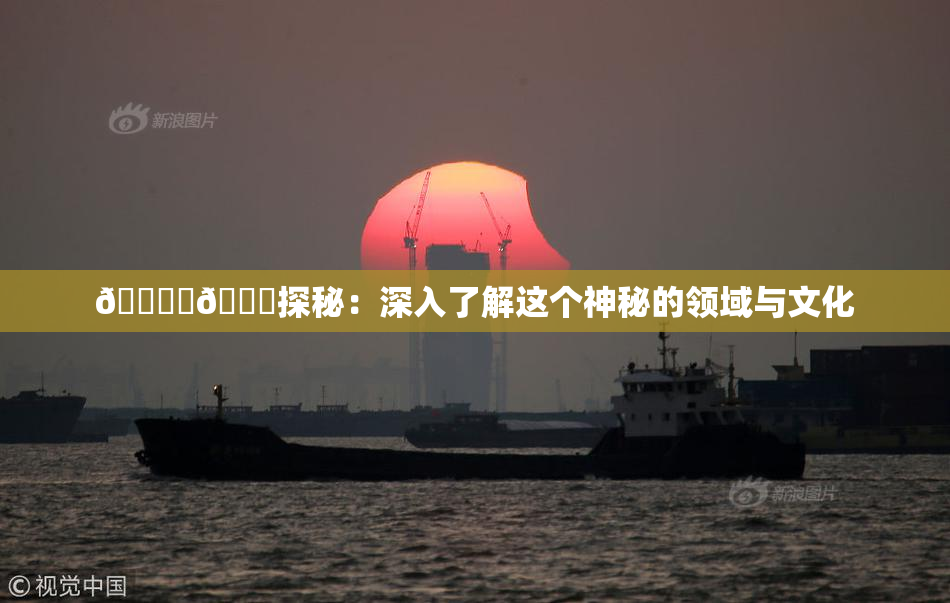 🔞‌🍌探秘：深入了解这个神秘的领域与文化