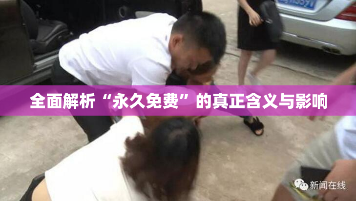 全面解析“永久免费”的真正含义与影响
