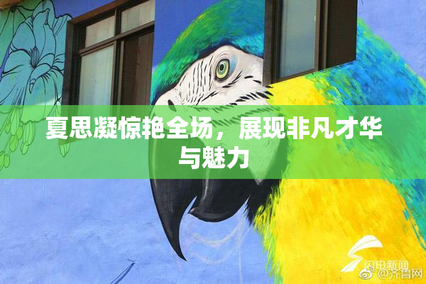 夏思凝惊艳全场，展现非凡才华与魅力