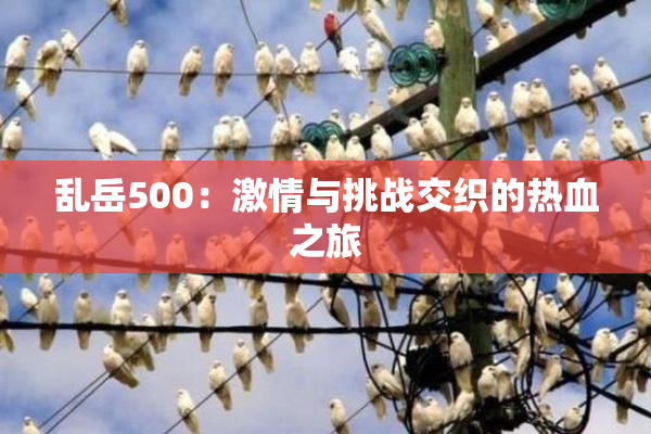 乱岳500：激情与挑战交织的热血之旅